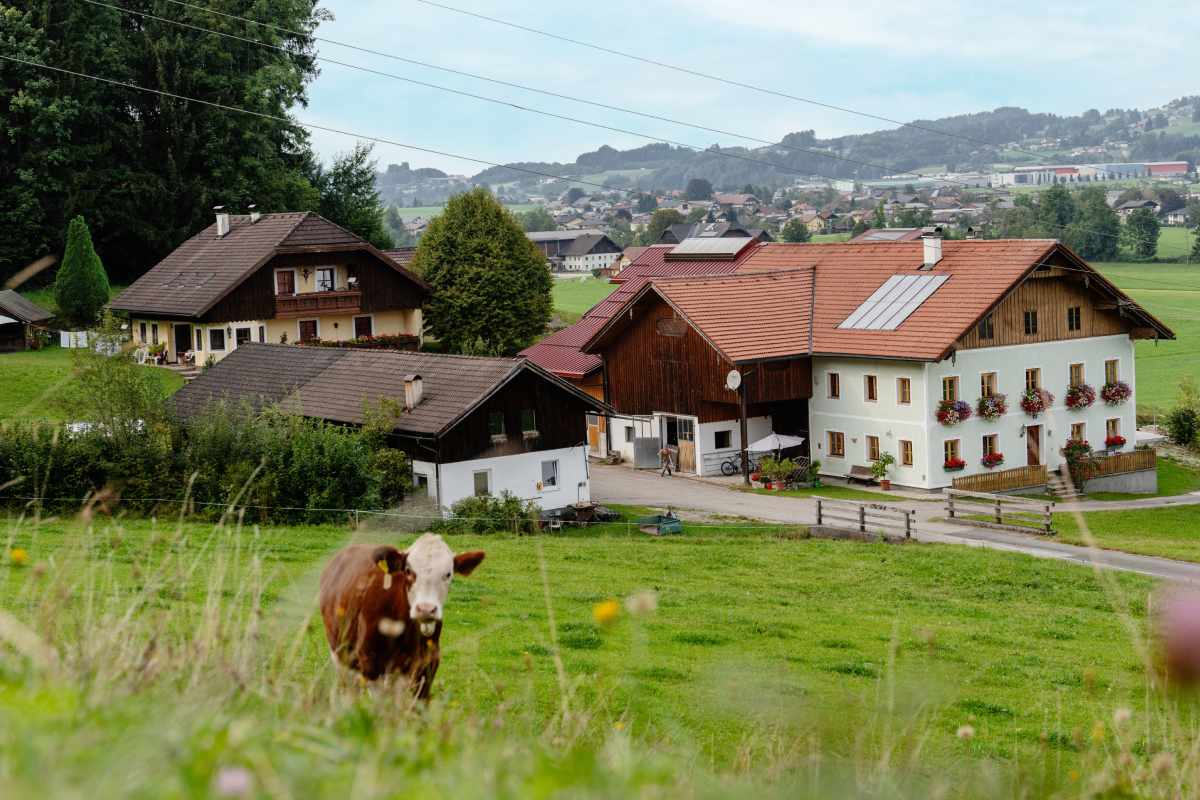 Der Hof Hinterhofer der Familie Niedermüller