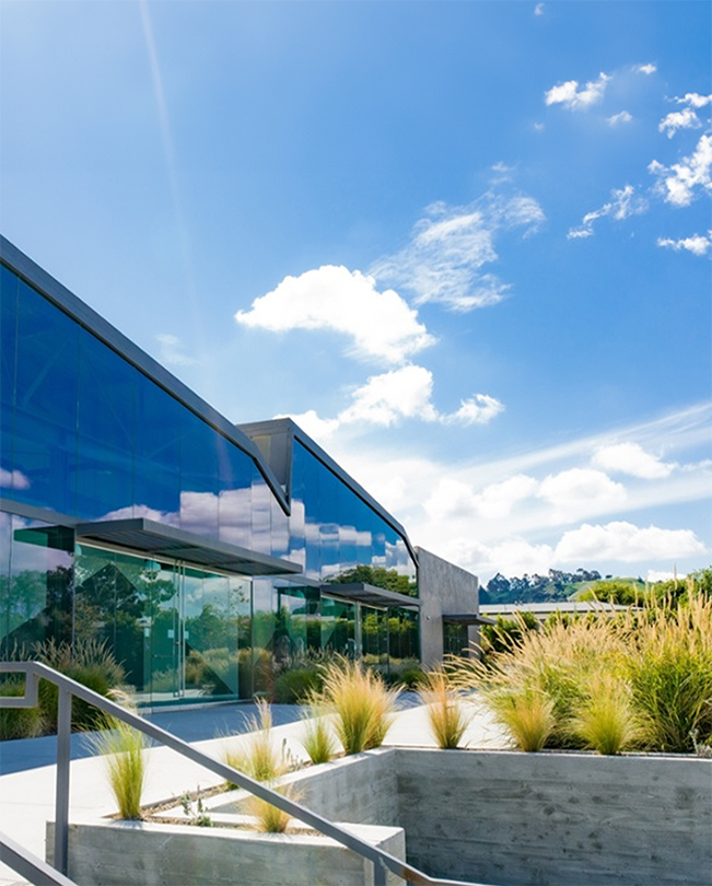 Um caminho ladeado de plantas em primeiro plano, com escritórios da Apple envidraçados em segundo plano.