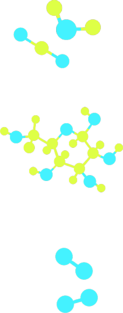 Dos modelos moleculares: uno del dióxido de carbono y uno del agua.