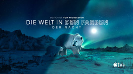 Die Welt in den Farben der Nacht