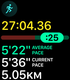 Running form metrics providing the person's pace and distance.