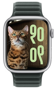 Apple Watchin Kuvat-kellotaulussa on kuva kissasta, kellotaulussa näkyy kellonaika muokatussa koossa tietyn kielen kirjoitusjärjestelmällä