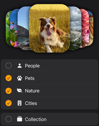 Vários mostradores de fotografias do Apple Watch empilhados por cima de um menu de filtros