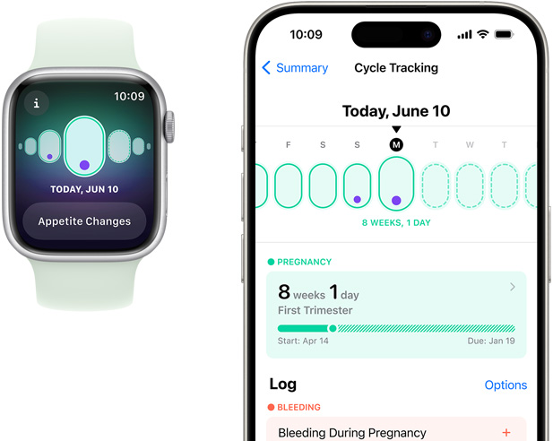 Apple Watch 屏幕显示孕期情况追踪，记录有关于食欲变化的指征。iPhone 屏幕显示经期跟踪功能中的孕龄和孕期情况追踪信息