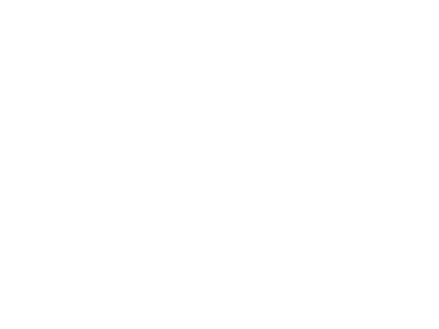 Southwest white logo