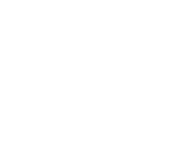 UPS white logo