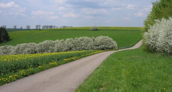 Weg im ländlichen Raum