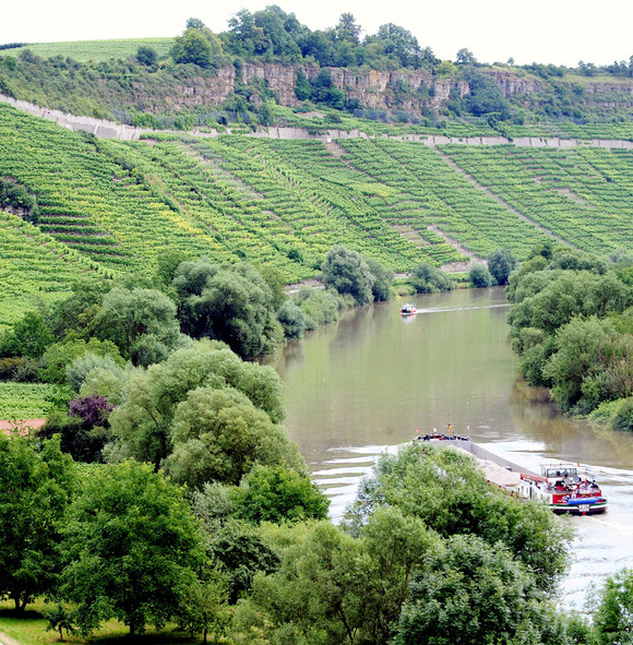 Weinberge am Neckar, Hessigheimer Felsengärten.