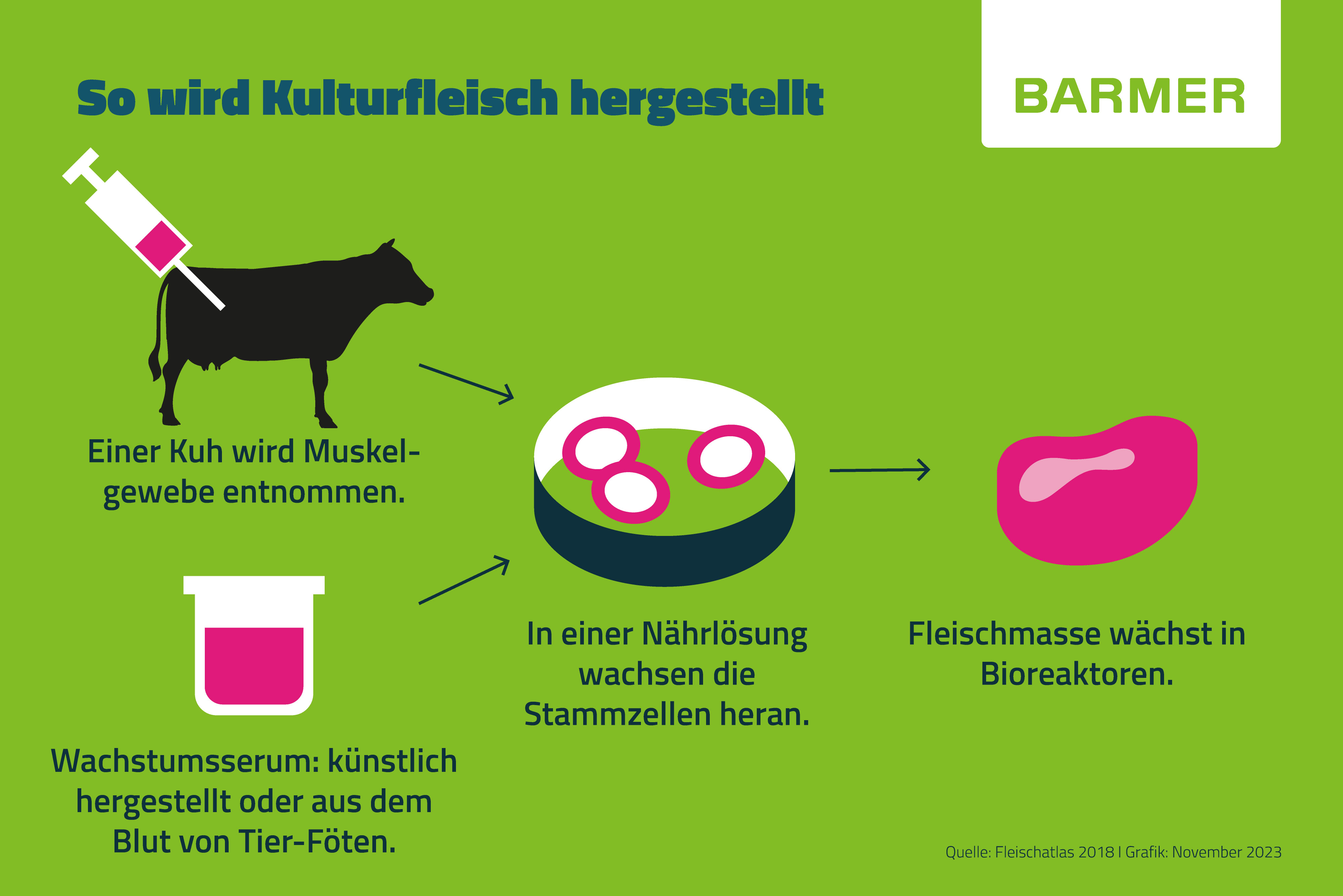 In-vitro-Fleisch: Mehrere Verarbeitungsschritte sind nötig, um das kultivierte Fleisch herzustellen.