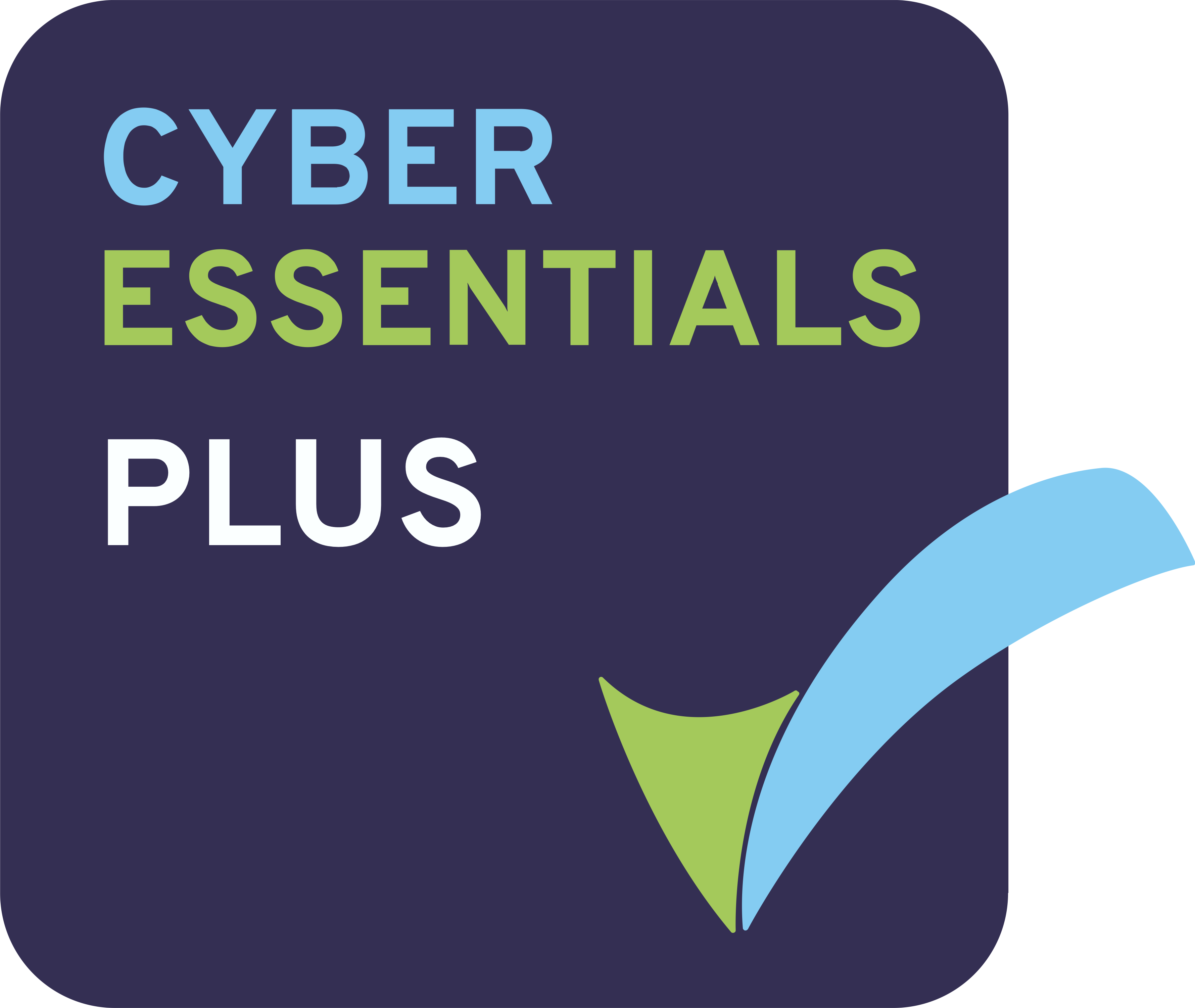 Cyber Essentials Badge