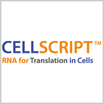 CellScript