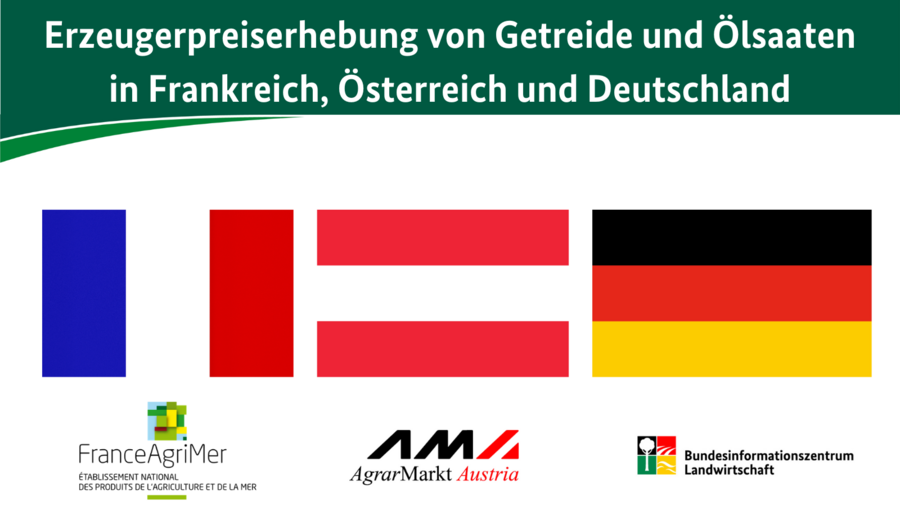 Erzeugerpreiserhebung von Getreide und Ölsaaten in Frankreich, Österreich und Deutschland. Zu sehen sind von links nach rechts die französische, die österreichische und die deutsche Flagge. Darunter ist jeweils entsprechend das Logo von FranceAgrimer, Agrarmarkt Austria und dem Bundesinformationszentrum Landwirtschaft.