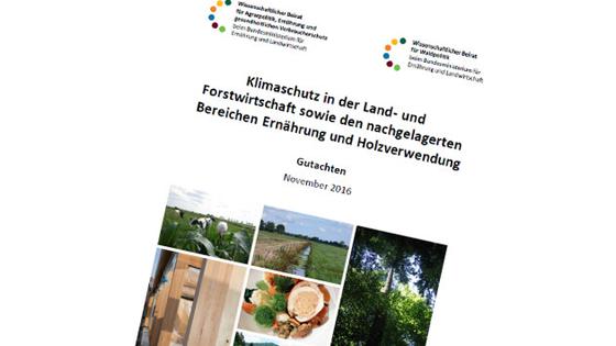 Titelcover  Klimaschutzgutachten 