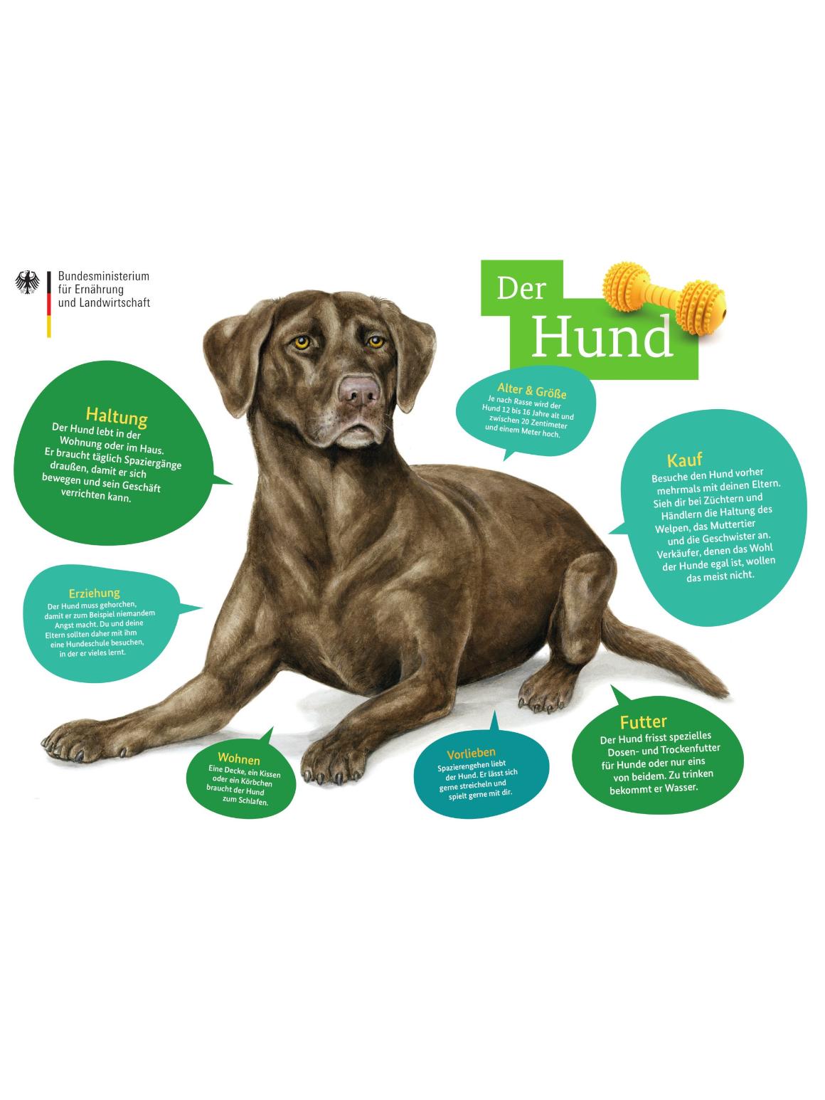 Tierfibel: Poster Hund 