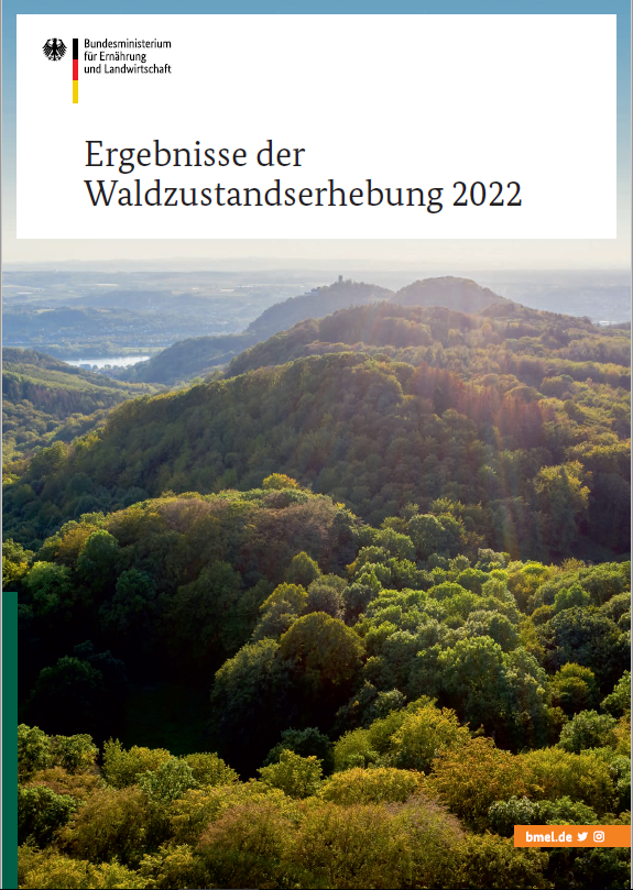 Broschürencover, das baumbewachsene Hügel im Sonnenschein zeigt. Titeltext: Ergebnisse der Waldzustandserhebung 2022