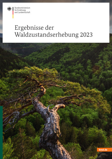 Broschürencover, baumbewachsene Hügel und ein Nadelbaum groß im Vordergrund. Titeltext: Ergebnisse der Waldzustandserhebung 2023