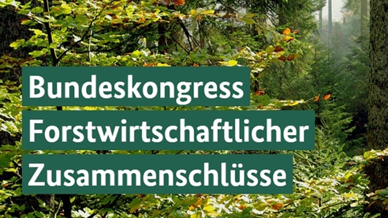 Mischwald an einem sonnigen Tag. Mit der Aufschrift: "Bundeskongress für forstwirtschaftliche Zusammenschlüsse"