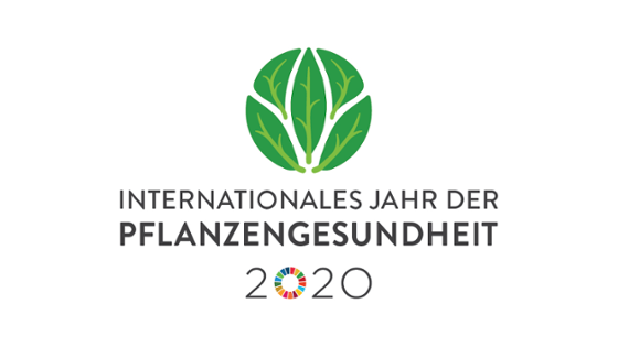 Logo des Internationalen Jahres der Pflanzengesundheit 2020