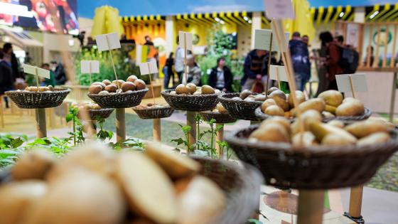 Verschieden Körbe mit unterschiedlichen Kartoffelsorten