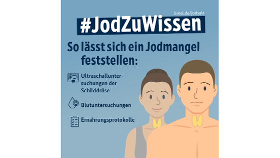 Grafik mit Text: So lässt sich Jodmangel feststelle: Ultrasschalluntersuchung der Schilddrüse, Blutuntersuchung, Ernährungsprotokolle