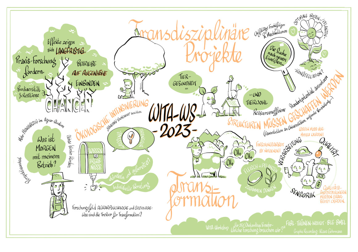 Graphische Zusammenfassung wesentliche Ergebnisse der Podiumsdiskussion des Workshops "Für 25 Prozent Ökolandbau und mehr – welche Forschung brauchen wir?", z.B. Transformation der Landwirtschaft zu mehr Nachhaltigkeit oder Förderung von transdiszipl