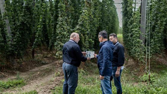 Bundesminister Cem Özdemir im Austausch mit zwei Männern, Im Hintergrund das Hopfenfeld mit der Agri-PV-Anlage.