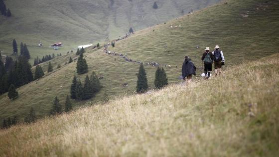 Drei Personen bei der Hauptalmbegehung, im Hintergrund ist in der Ferne eine lange Reihe von Menschen zu sehen.