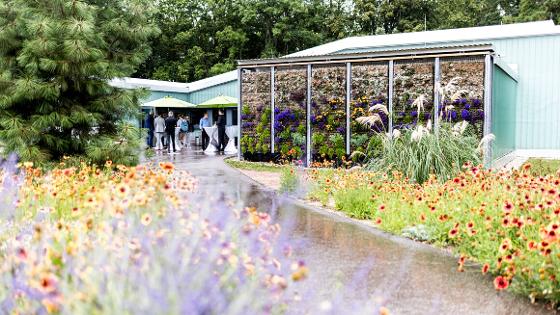 Blick über blumenbewachsene Beete zum Tagungsort, davor Schirme und Stehtische mit Teilnehmenden