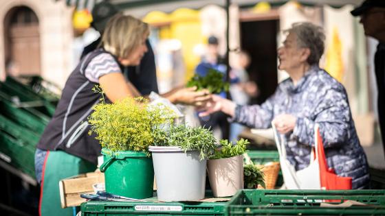 Auf dem Wochenmarkt im Vordergrund Kräuter, dahinter eine Verkäuferin im Gespräch mit einer Kundin