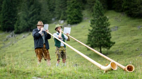 Zwei Alphornbläser spielen auf einer Wiese