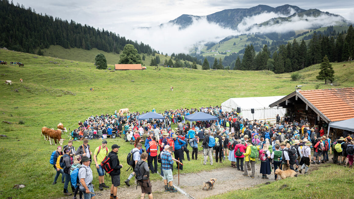 Blick über die Alm zu den Bergen, im Vordergrund die Gruppe der Almbegehung