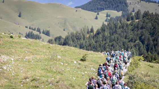 Blick auf die Gruppe der Almbegehung auf einem Weg