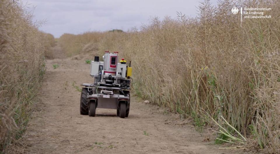 Roboter mit Kamera vermisst ein Feld