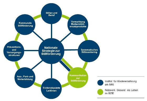 8 Handlungsfelder der Stillstrategie (Stillen u. Beruf, Vermarktung Muttermilchersatzprodukte, Systematisches Stillmonitoring, Kommunikation, Evidenzbasierte Leitlinien, Ausbildung, Präventions- u. Versorgungsstrukturen, Kommunale Stillförderung)