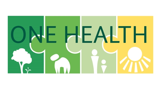 One Health Logo