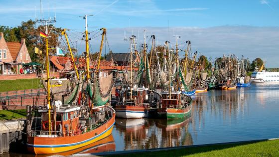 Krabbenkutter im Hafen