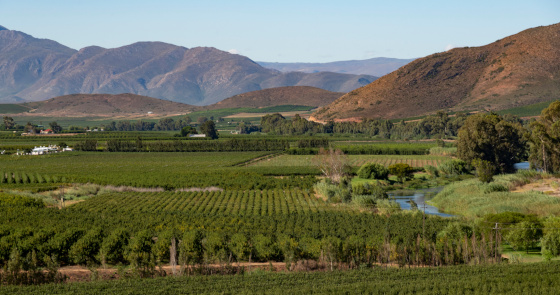 Landwirtschaftliche Fläche in Südafrika