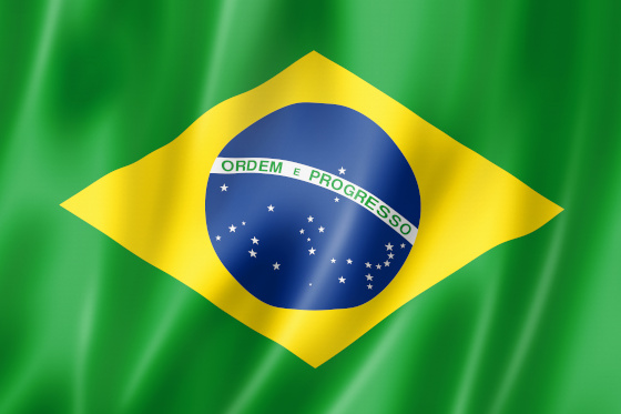 Brasilianische Flagge