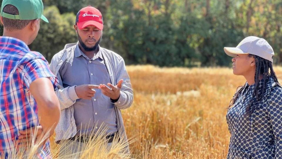 Berater und Landwirte stehen in einem Gerstefeld und unterhalten sich