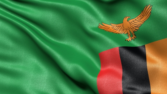 Flagge Sambia