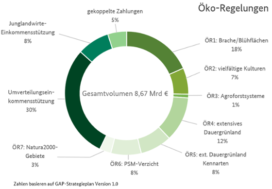 Prozentuale Darstellung der Direktzahlungen