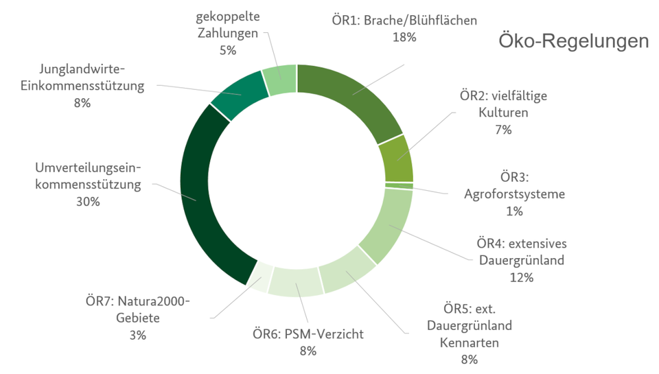 Prozentuale Darstellung der Direktzahlungen