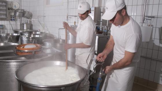 zwei junge Männer vor einem großer Behälter mit Milch