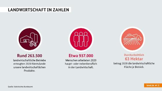 Im Jahr 2020 gab es rund 263.500 landwirtschaftliche Betriebe; etwa 937.000 arbeiten in der Landwirtschaft und 63 Hektar betruf die landwirtschaftliche Fläche je Betrieb