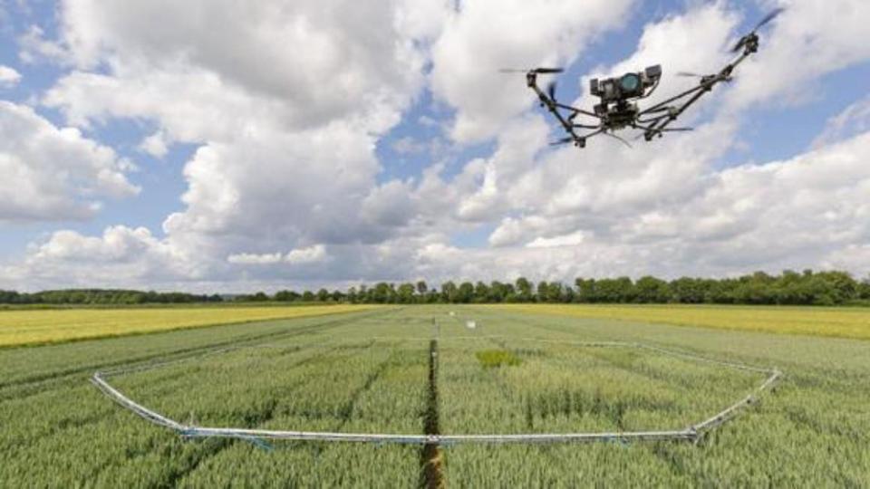 Drohne fliegt über ein Feld