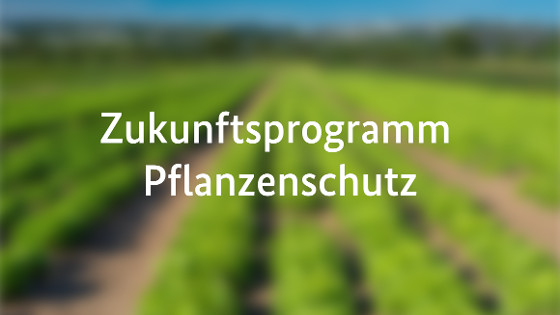 Im Hintergrund unscharf ein Feld, im Vordergrund der Schriftzug Zukunftsprogramm Pflanzenschutz