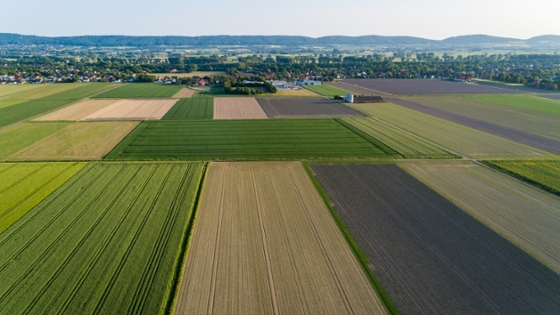 Ackerflächen aus der Vogelperspektive mit verschiedenen Kulturen