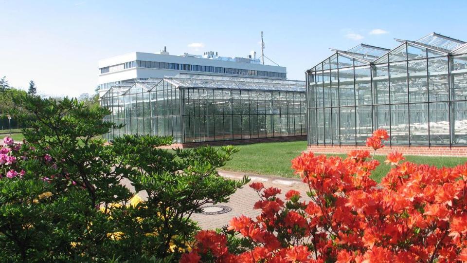 Blick auf das Laborgebäude, im Vordergrund ein Gewächshaus und Pflanzen