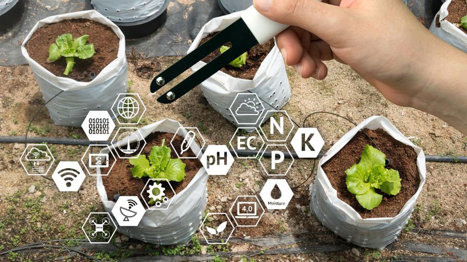 "Smart agriculture": Eine Hand hält ein Messgerät, mit dem Werte für dem Säuregrad, Nitrat, Phosphor usw. im Boden bestimmt werden können.