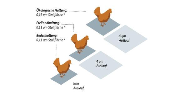 Die Grafik zeigt über wie viel Freilauf ein Huhn ja nach Haltungsart verfügt